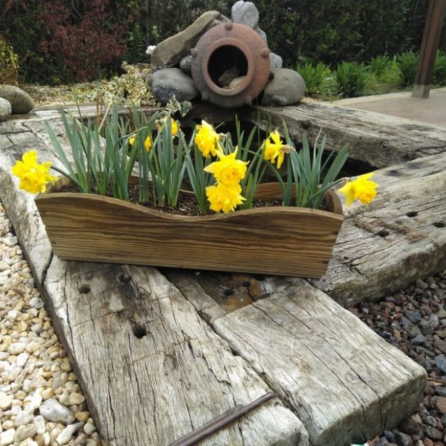 Jardineros especialistas en el diseño de jardines