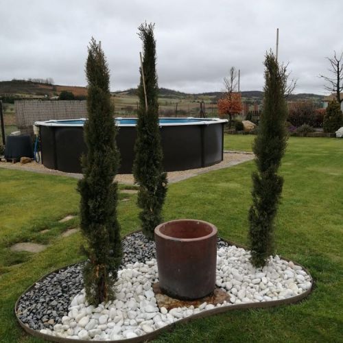 Jardín con césped, piedras y plantas