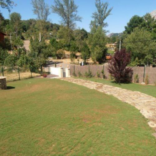 Jardín con césped y árboles