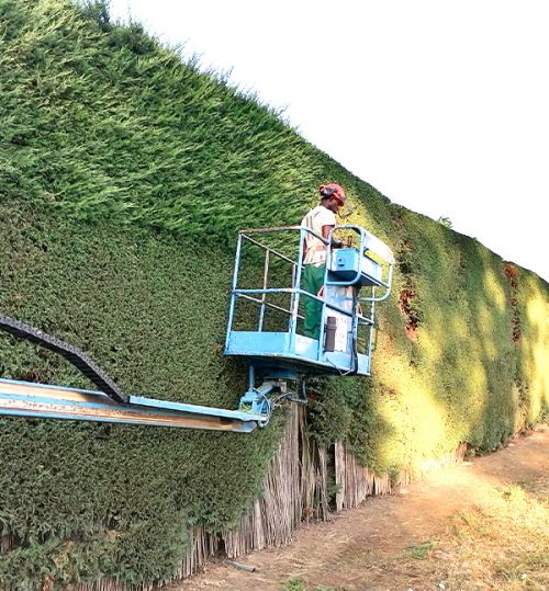 Contactar con estalote jardinería