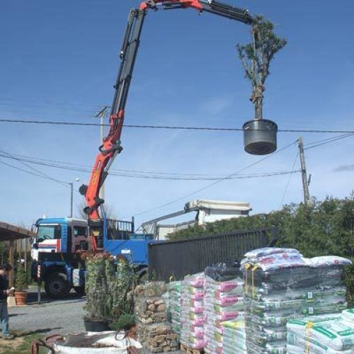 Grúa elevando macetero grande con planta