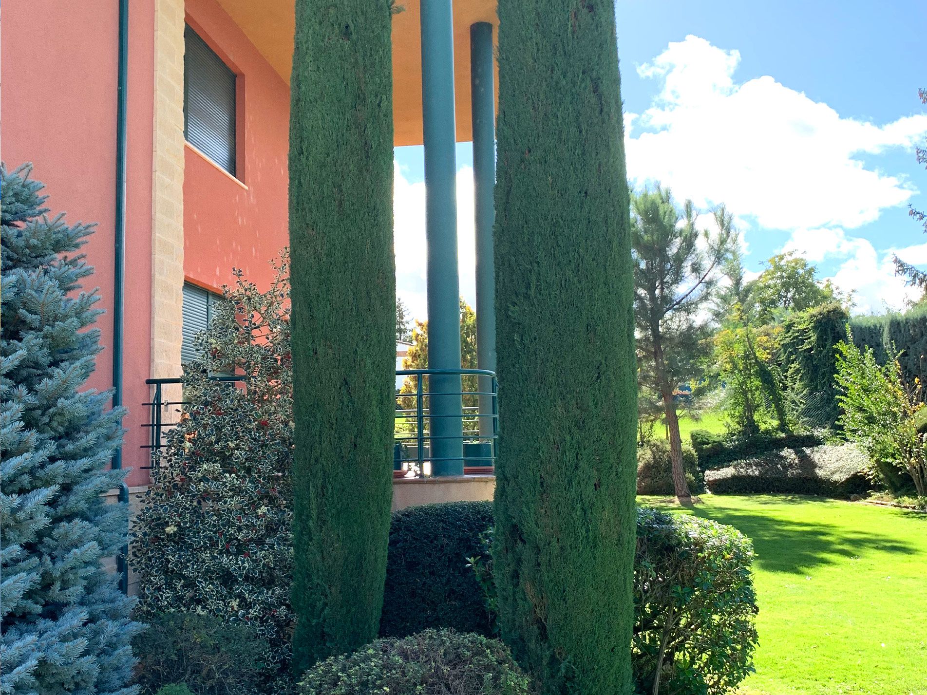 Profesionales de jardinería en León