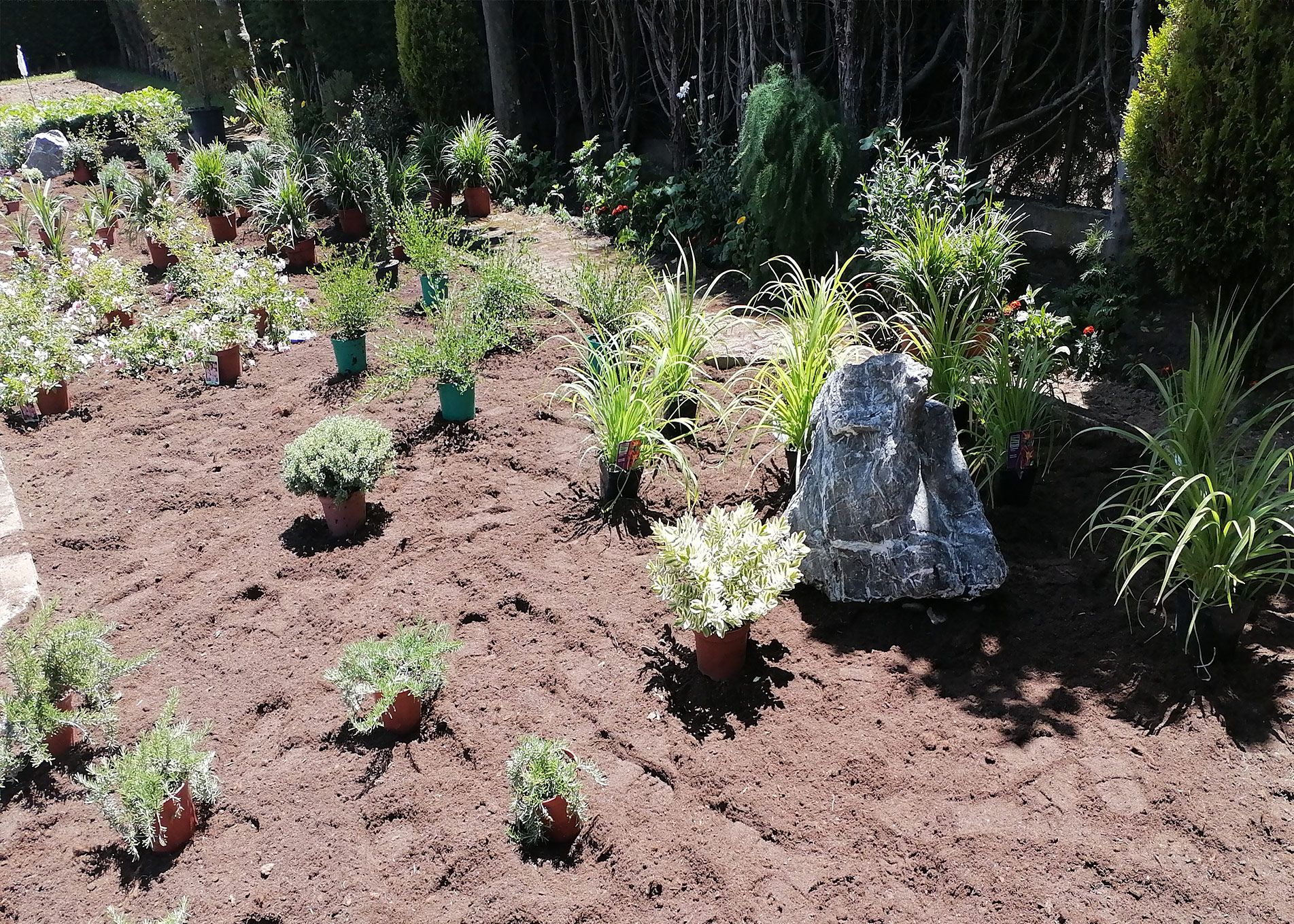 Construcción de jardines en Valencia de Don Juan