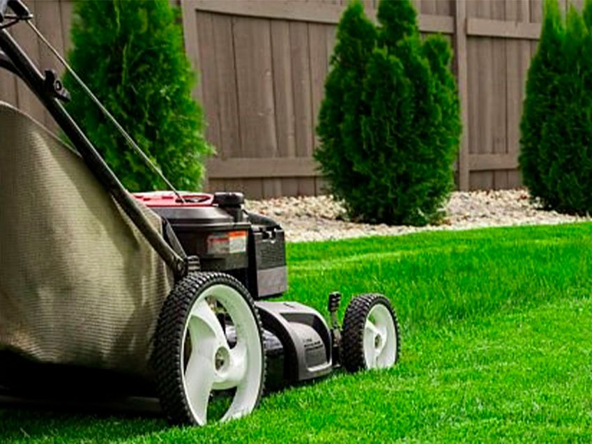 Empresa de jardinería en San Feliz de Torío