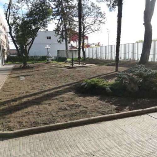Siembra de cesped