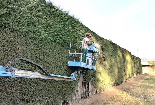 Servicios profesionales de Jardinería Estalote
