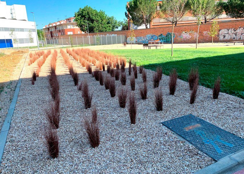 Jardineros especialistas en el diseño de jardines