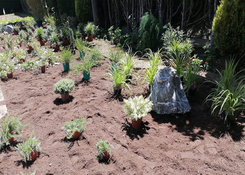 Construcción de jardines en Valencia de Don Juan