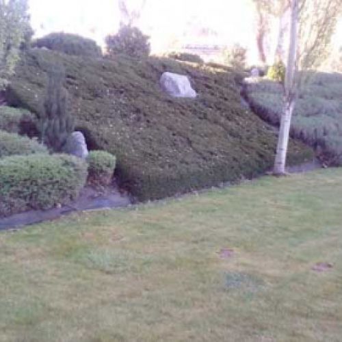 Mantenimiento de jardines