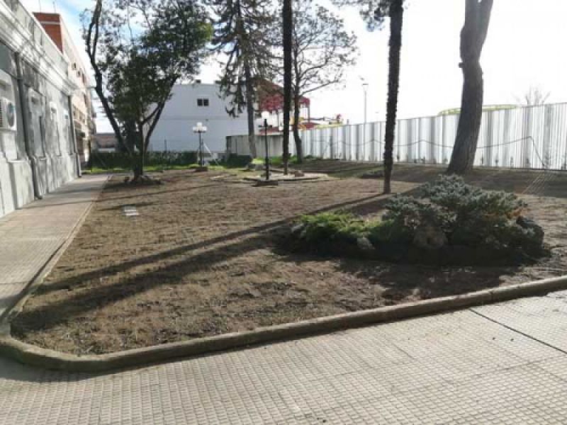 Siembra de cesped