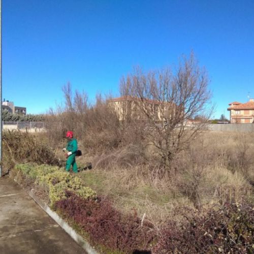 Operario trabajando con máquina desbrozadora