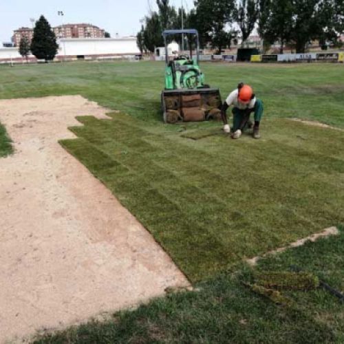 Colocación de cesped en rollos
