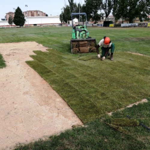 Colocación de cesped en rollos